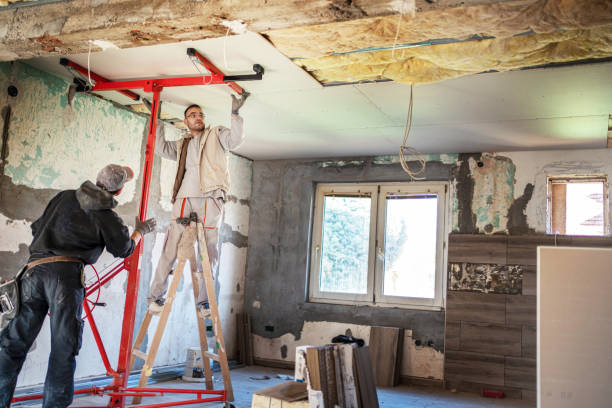Best Insulation Maintenance and Repair in Coldwater, MI
